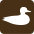 Birdwatch-brown