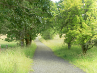 Fitton_green_north_south_connector